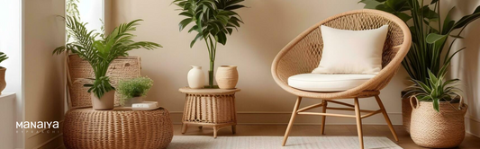 Types of Cane Furniture: Sustainable Choices for Modern Living