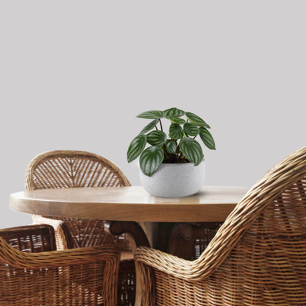 Sierra Cane Bistro Chair – Heritage Weave