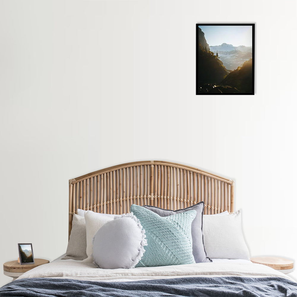 Coral Coast Bedhead