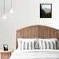 Coral Coast Bedhead